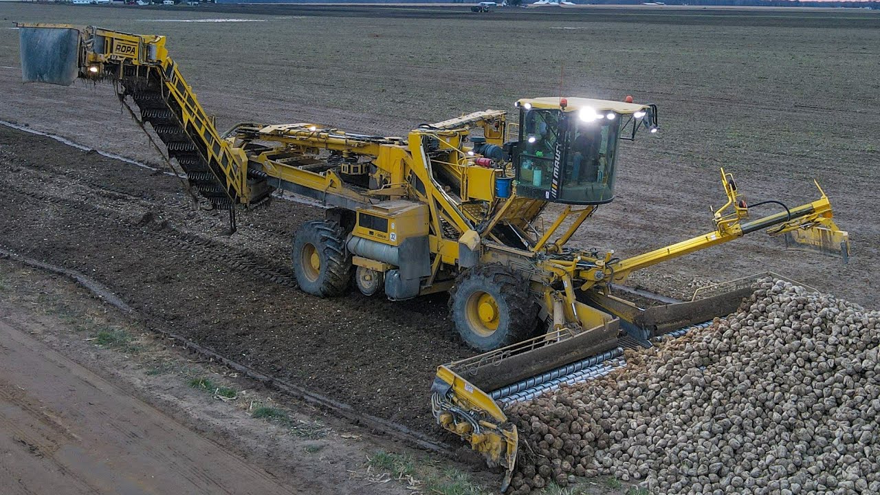 Ropa Maus 5 loading sugar beets in Shiawassee County Michigan!