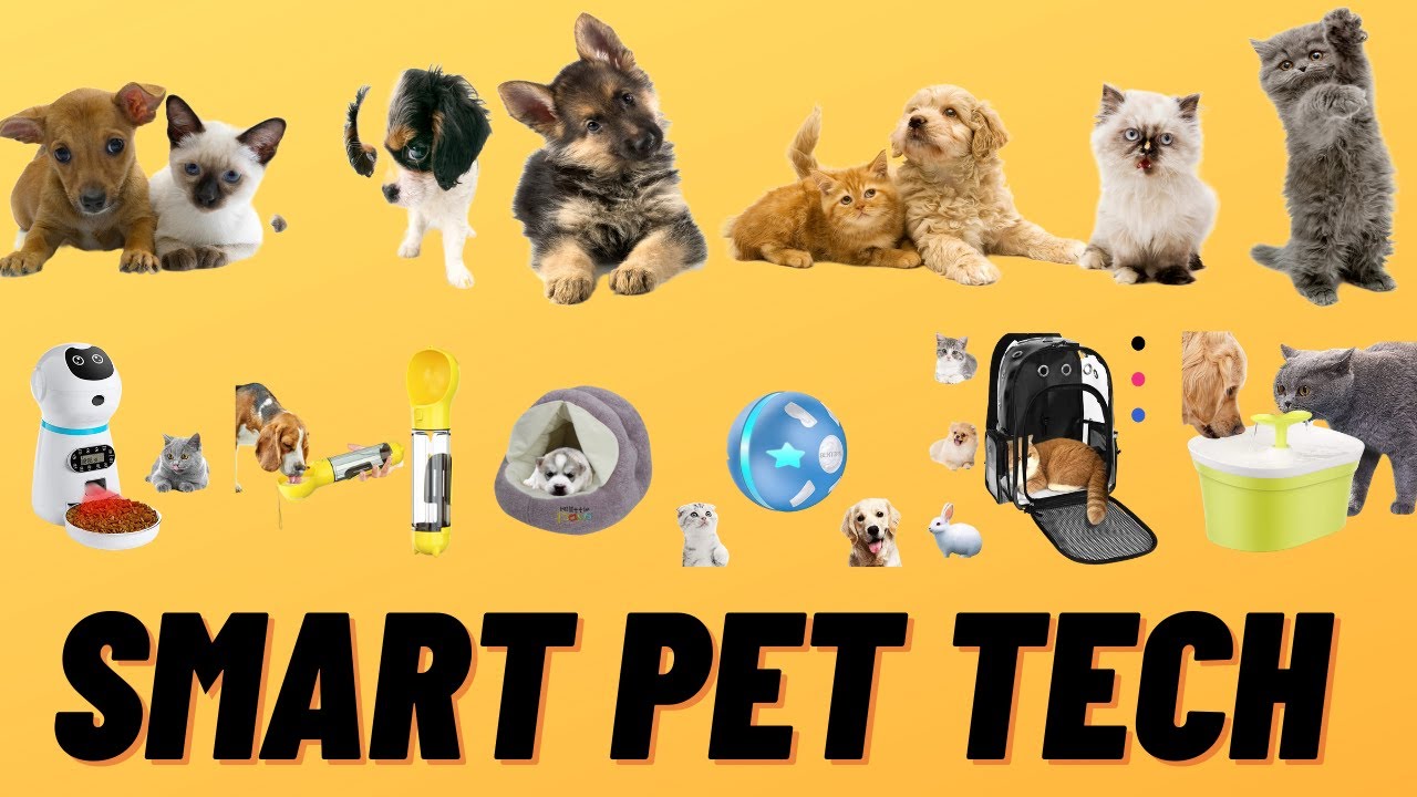 Smart Pet Tech For Your Home in 2021, Best Gift For Pets.