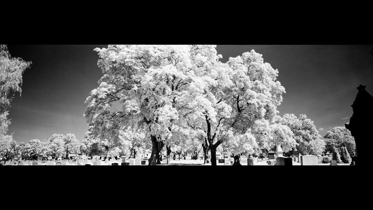 J.Dutt - 19 Dive Bar [RAP POP]