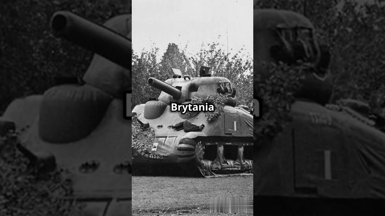 Najdziwniejsze wojskowe operacje w historii!