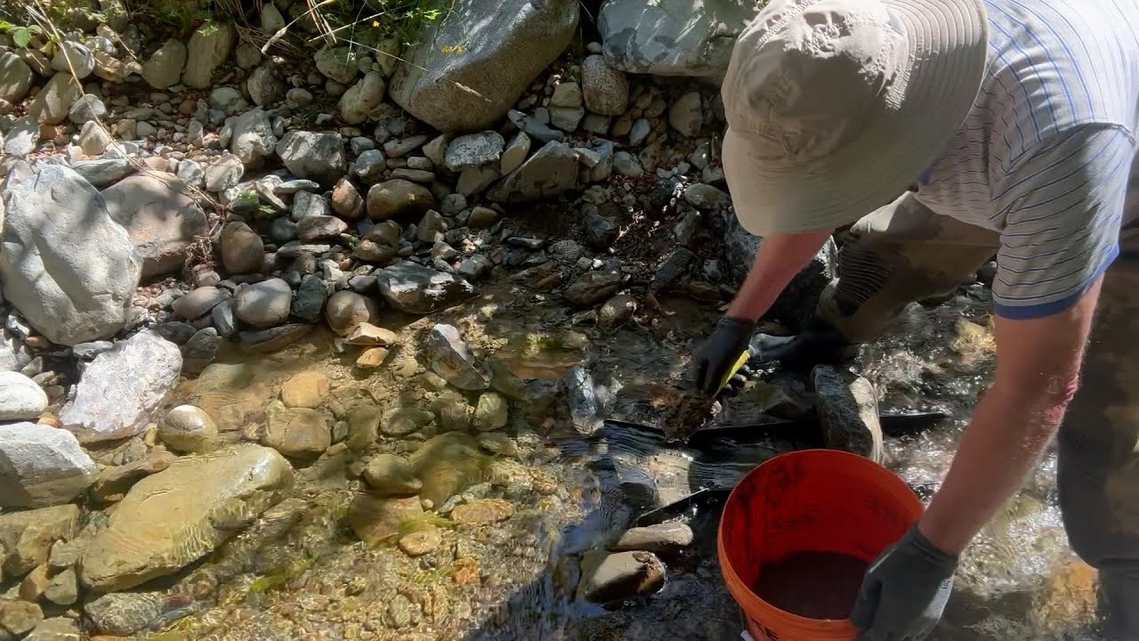 Mid-Summer Fossick. A great result.