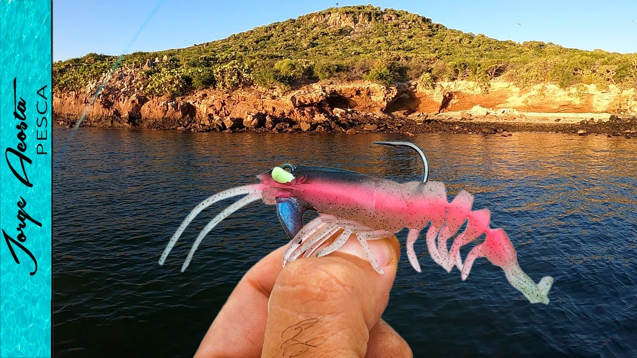 Pescando COCONACOS con CAMARON Artificial