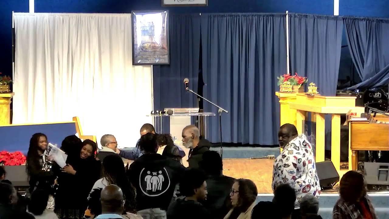 Live Stream