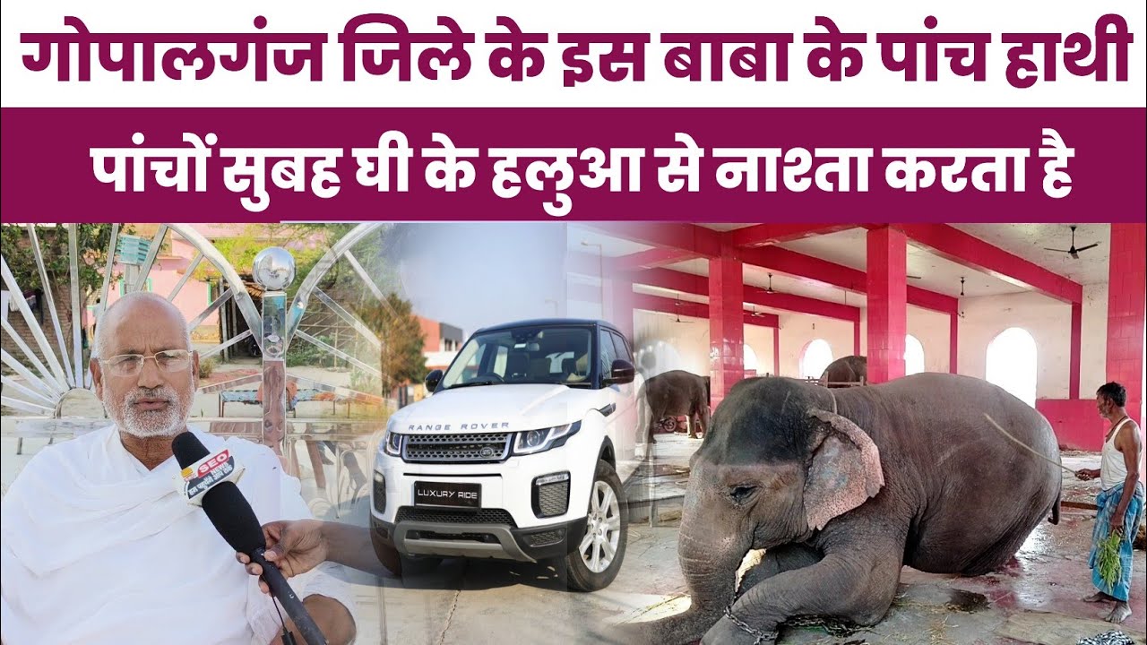 बिहार के गोपालगंज के ये बाबा खूब चर्चा में है अपनी शौक और हाथियों से जानिए क्यों ?