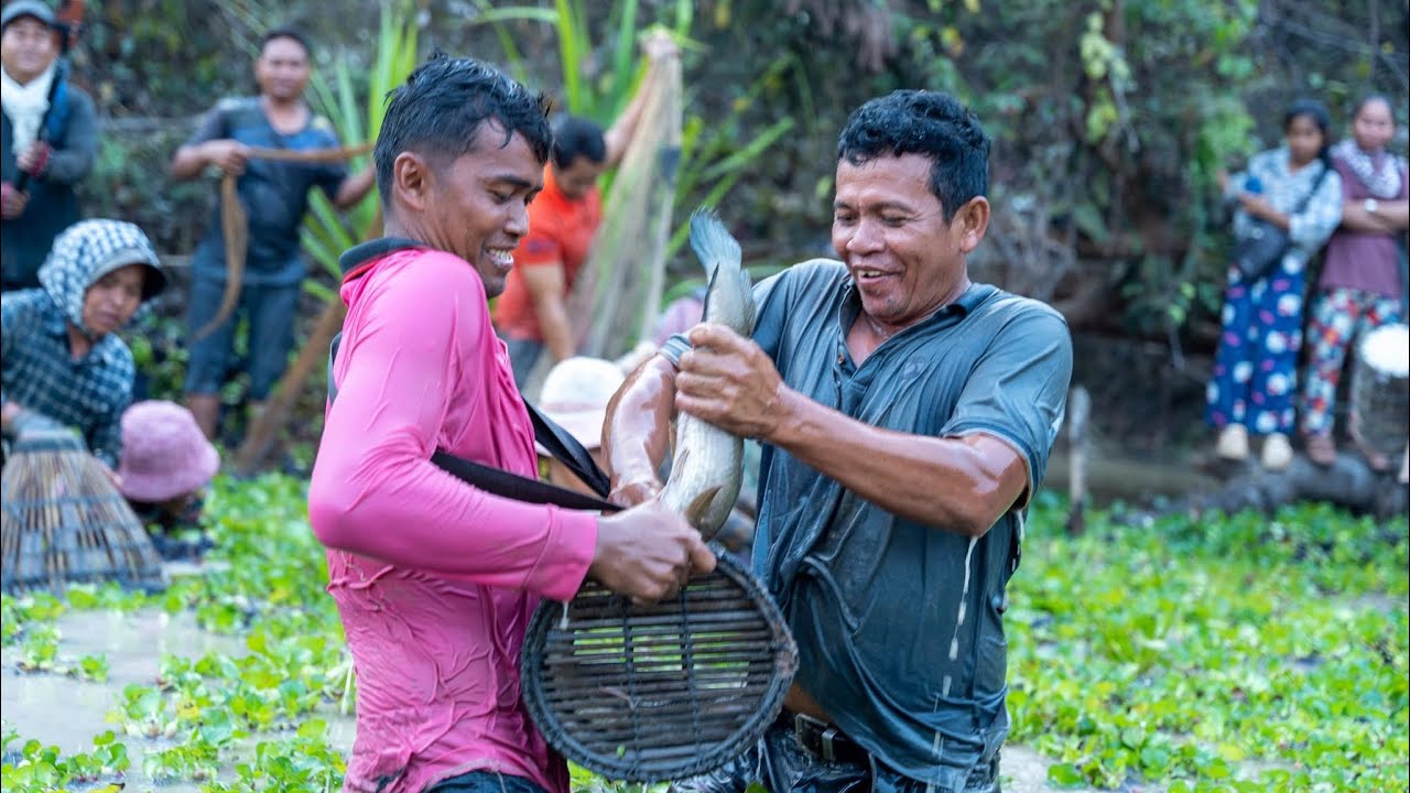 ពិធីចាប់ត្រីសាមគ្គី នៅភូមិបង្គោង ខេត្ដសៀមរាប ទី 8 ខែ 02 ឆ្នាំ 2026