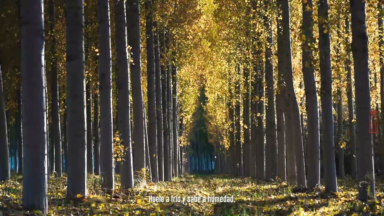 Otoño. Primer capítulo.