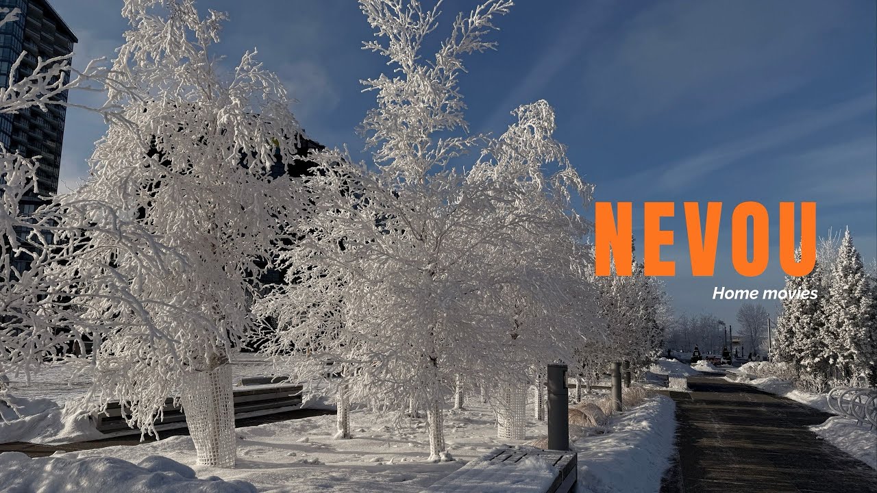 Neve, névoa congelante e café.
