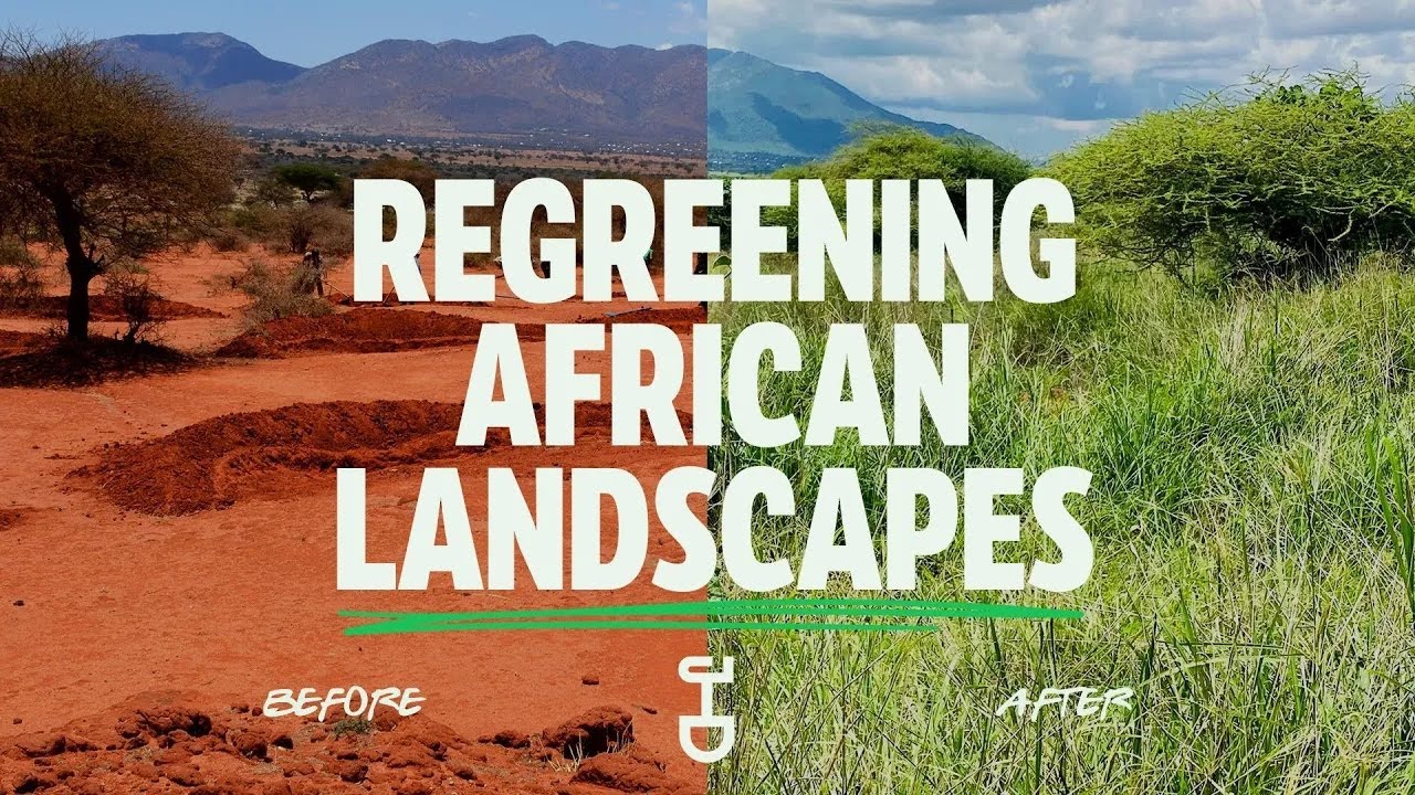How We Are Restoring Nature Across Africa | Justdiggit Story 2025