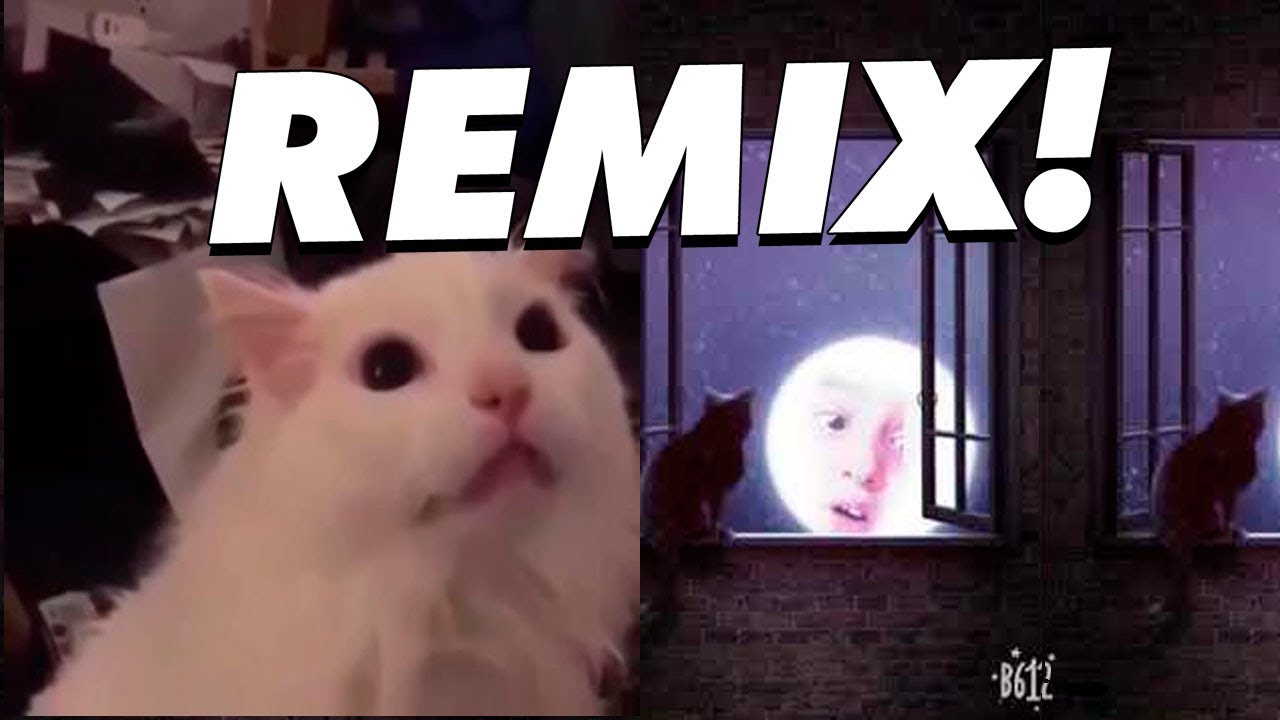 GATITO, RECONOCEME SOY LA LUNA - remix!