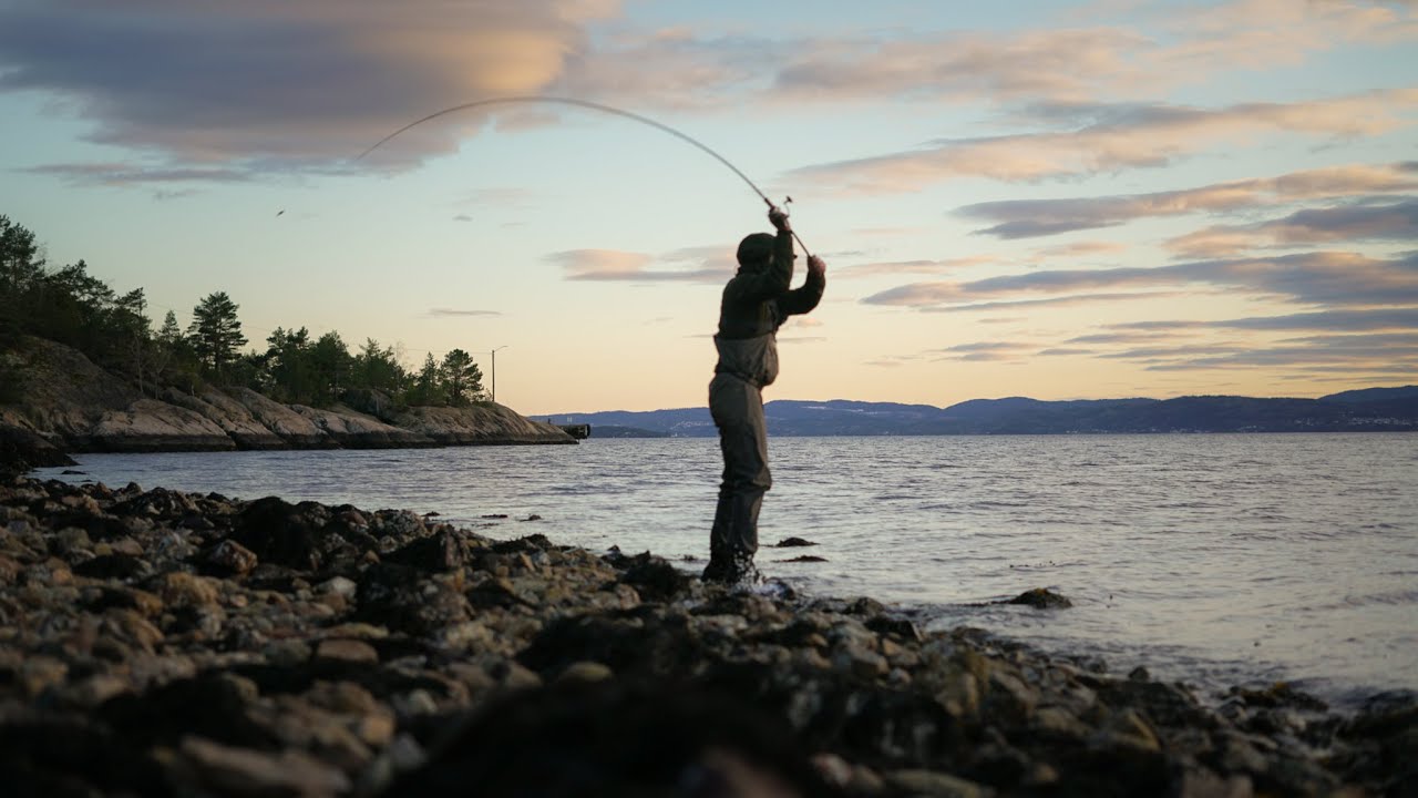 Fiske i Oslofjorden - Episode 1 / Shimano STC spinning 270/300 5-25g