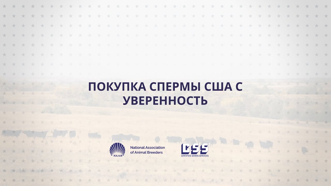 USLGE | Beef and Dairy | Buying U.S. Semen with Confidence (Russian)