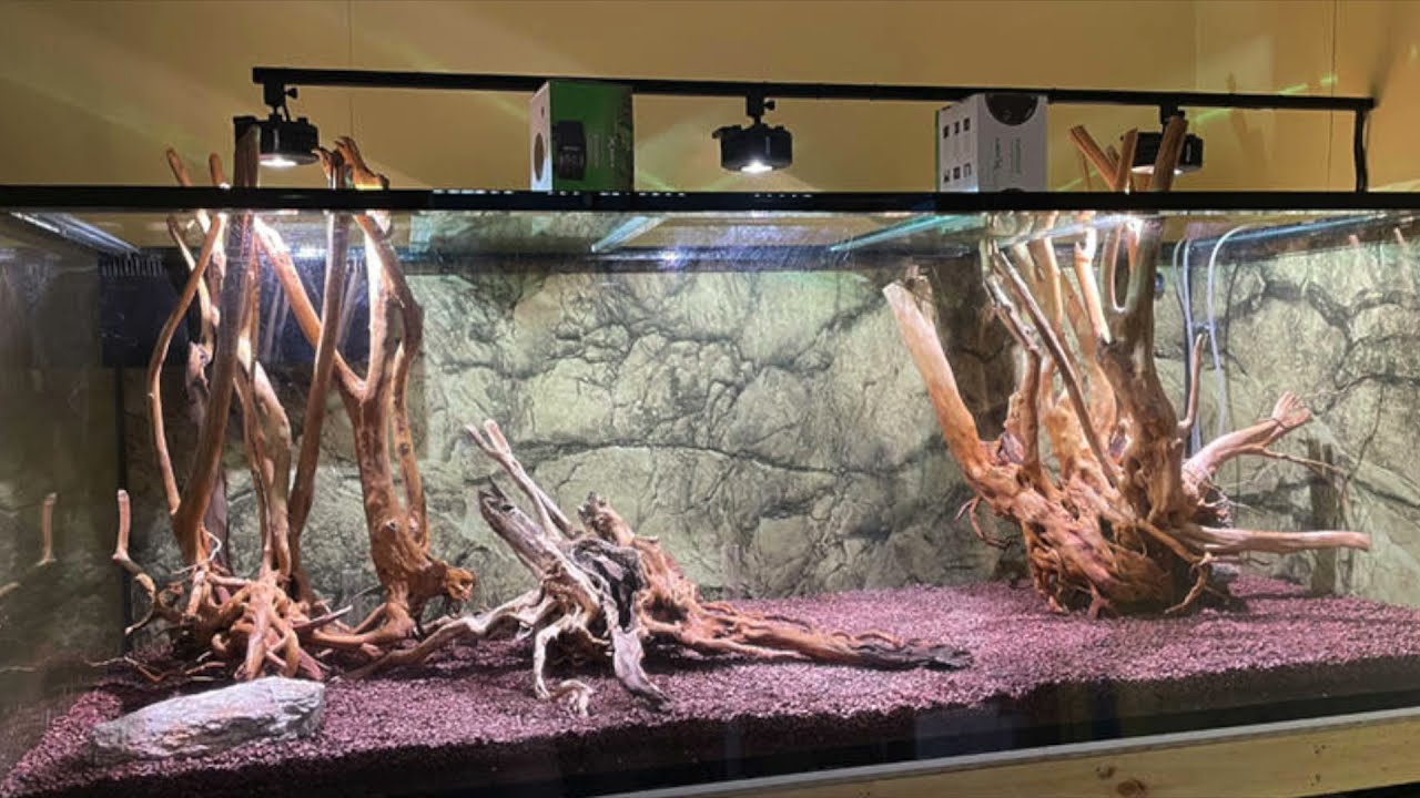 John’s Anoxic Filter from down under and BCB all made from acrylic from his display business.