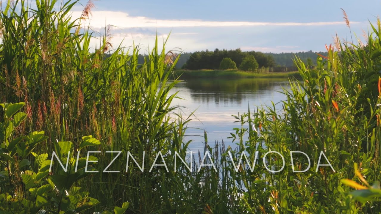 Wspaniała przygoda na wodzie PZW | Ryba się chlapie