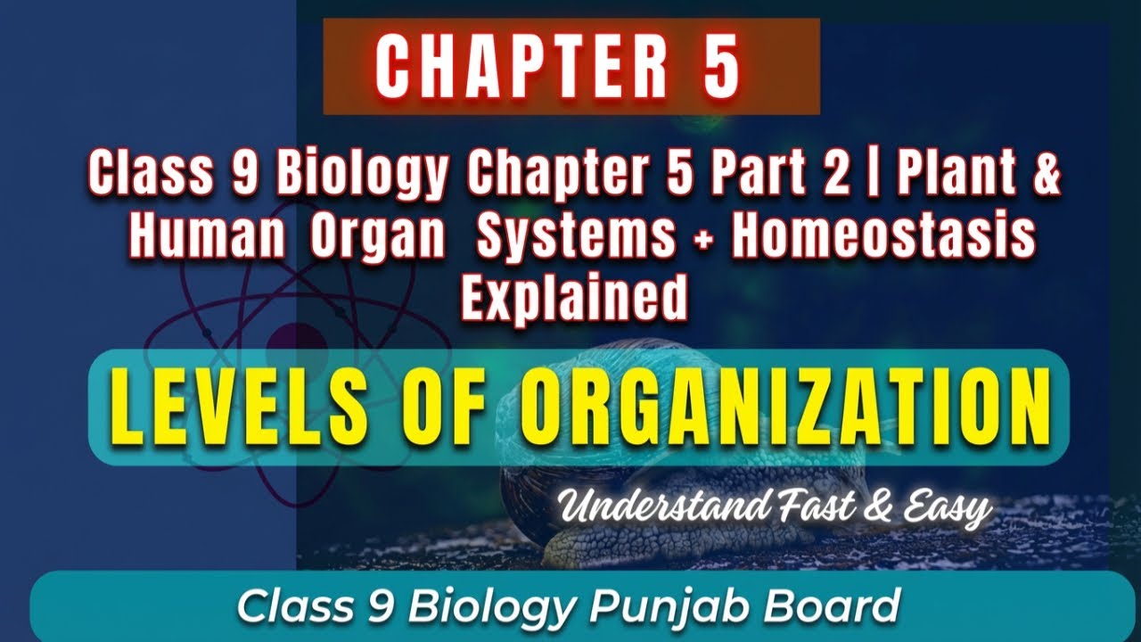 Class 9 Biology Chapter 5 Part 2 | Plant & Human Organ Systems + Homeostasis Explained