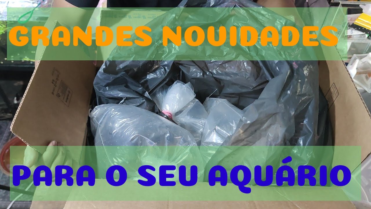 FUI BUSCAR BICHOS NOVOS NO AEROPORTO, O QUE SERÁ QUE CHEGOU?
