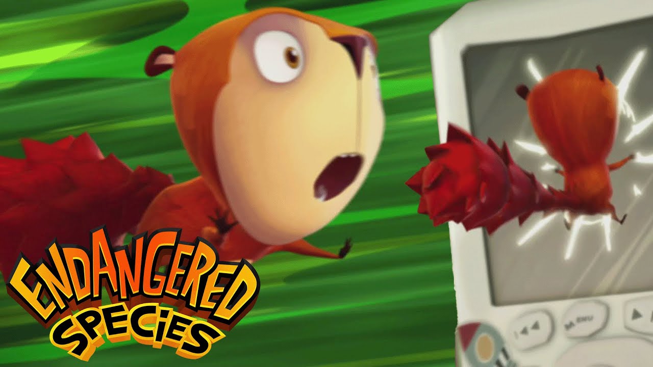NEW! Flying Squirrel | Endangered Species - WildBrain | Movies for Kids