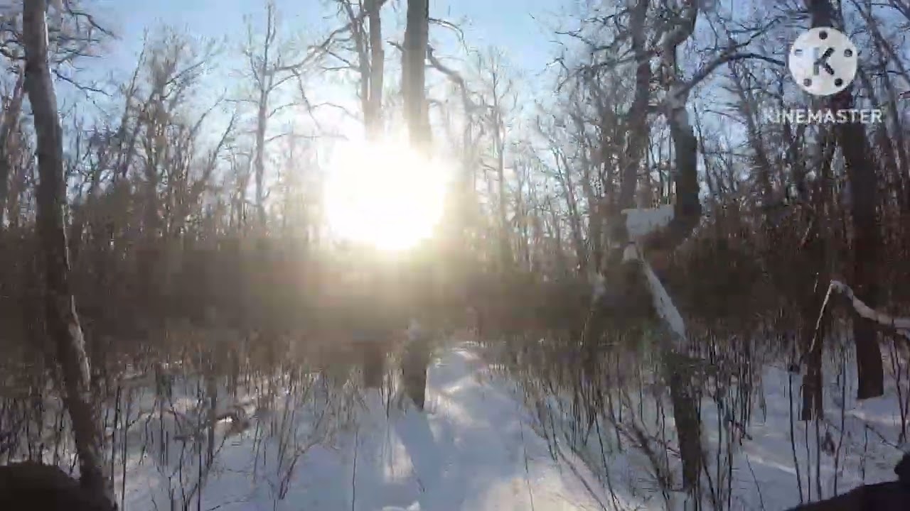 Birds Hill Park Fatbiking - Lime Kiln Cabin to Cedar Bog