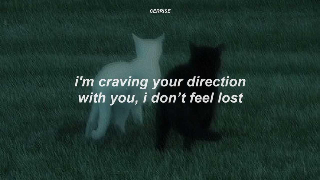 Poison - Baby Bugs (Lyrics)