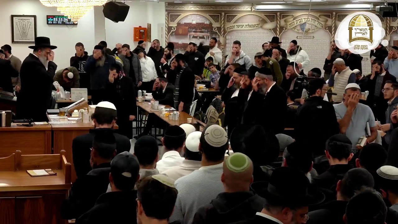 שידור חי | השיעור המרכזי עם מו
