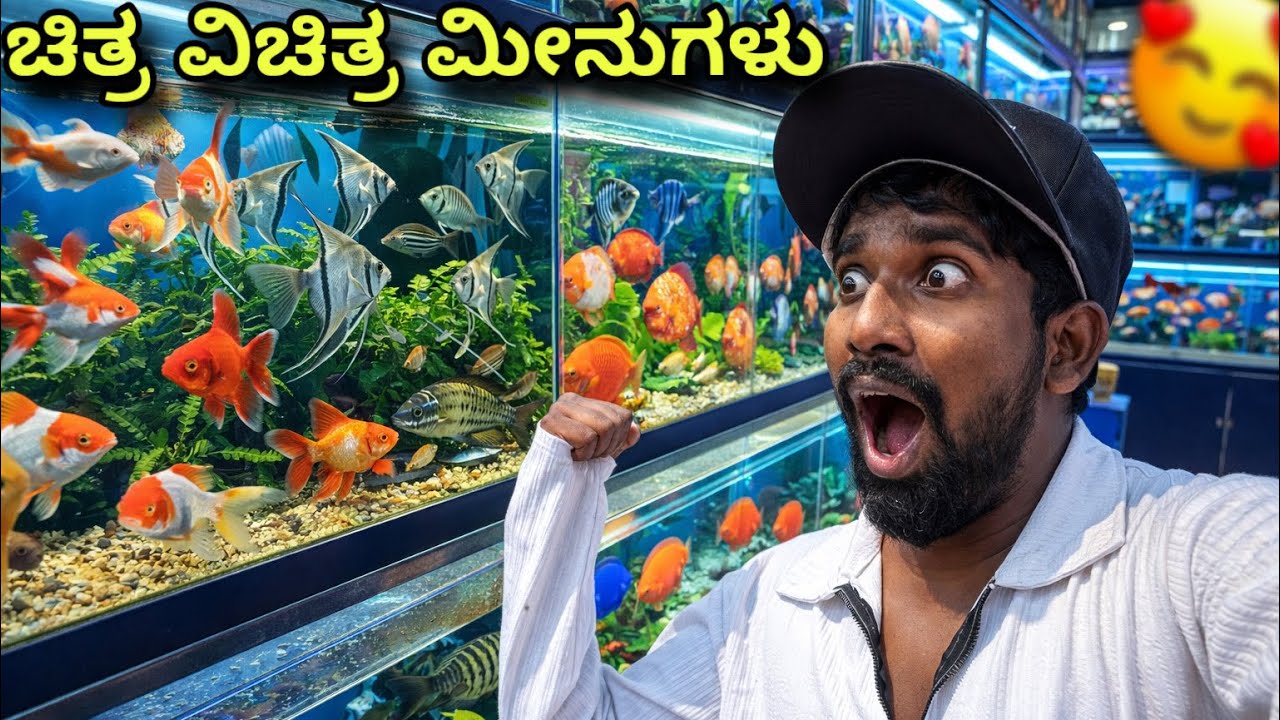 Bangalore Fish Aquarium 🐬/ ಸಮುದ್ರದಲ್ಲಿ ಇರೋ ಫಿಶೇಲ್ಲಾ ಇಲ್ಲೇ ಇದಾವಲ ಗುರು🐠 😳