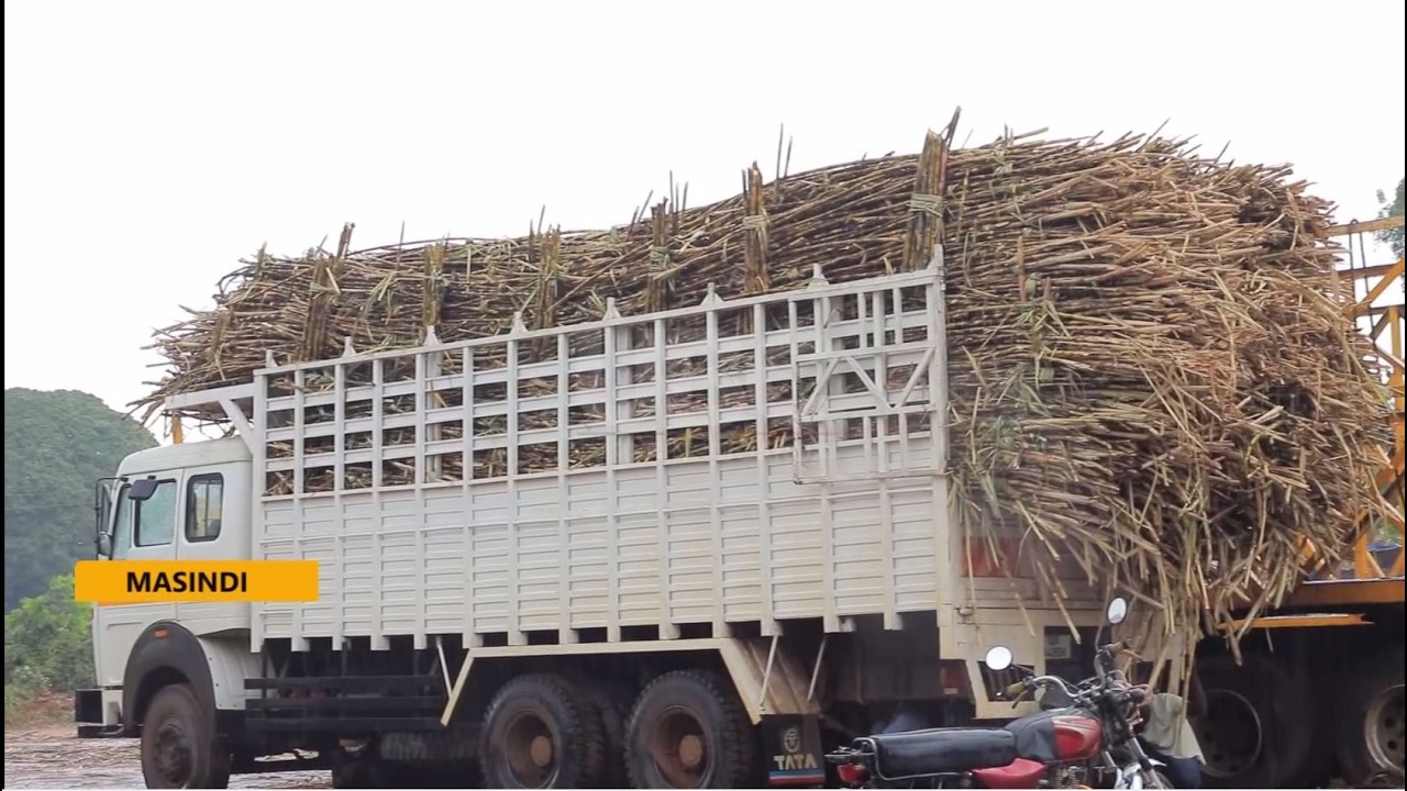Sugarcane Stakeholder Controversies: New Roadside Weighbridge Locations Proposed