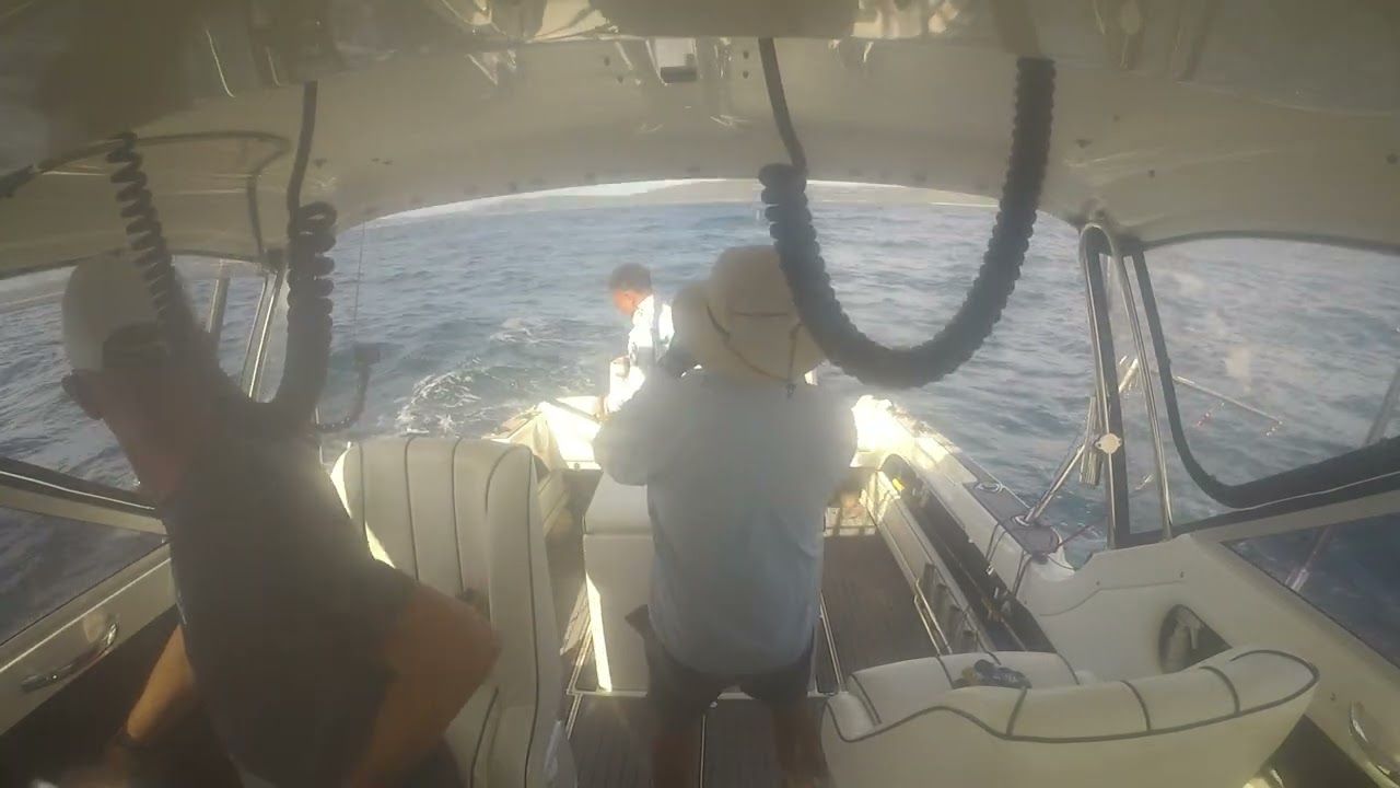 Xavier's First Black Marlin - Port Stephens 2026