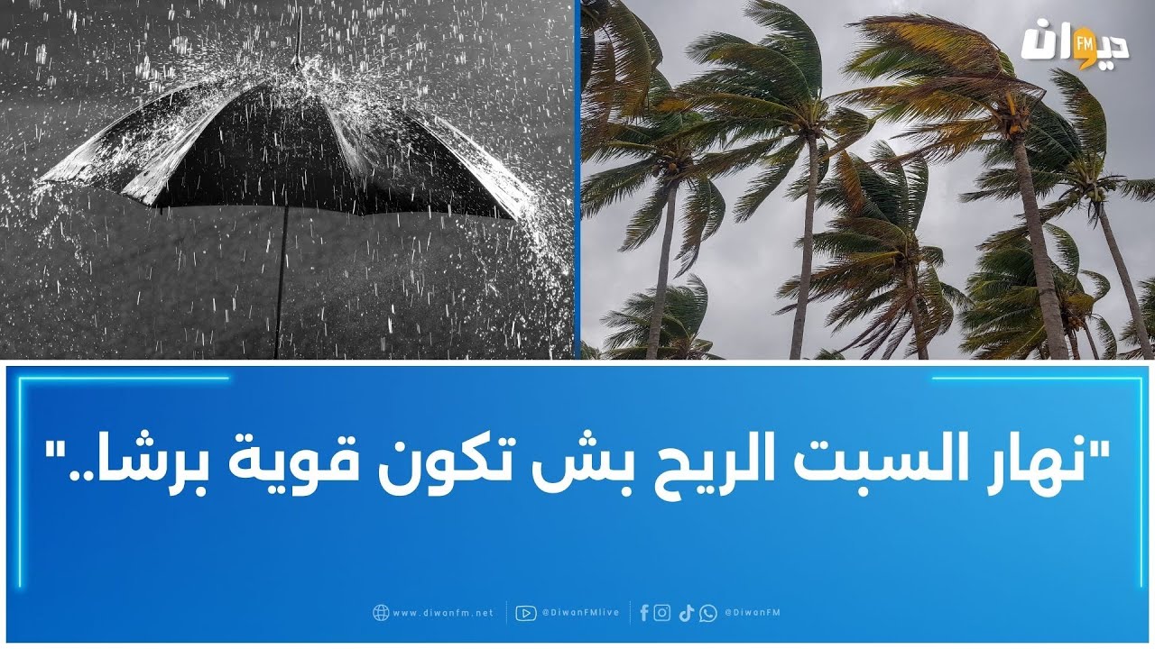 أمطار غزيرة و سحب رعدية في هذه المناطق..