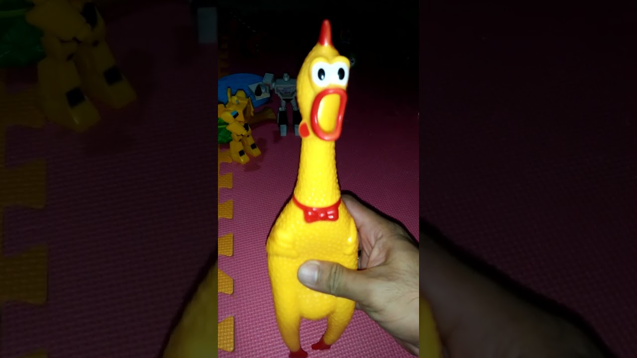 A squeaky chicken effect sound #rubberchicken #viral #fyp #chicken #toys #trending #shortfeed