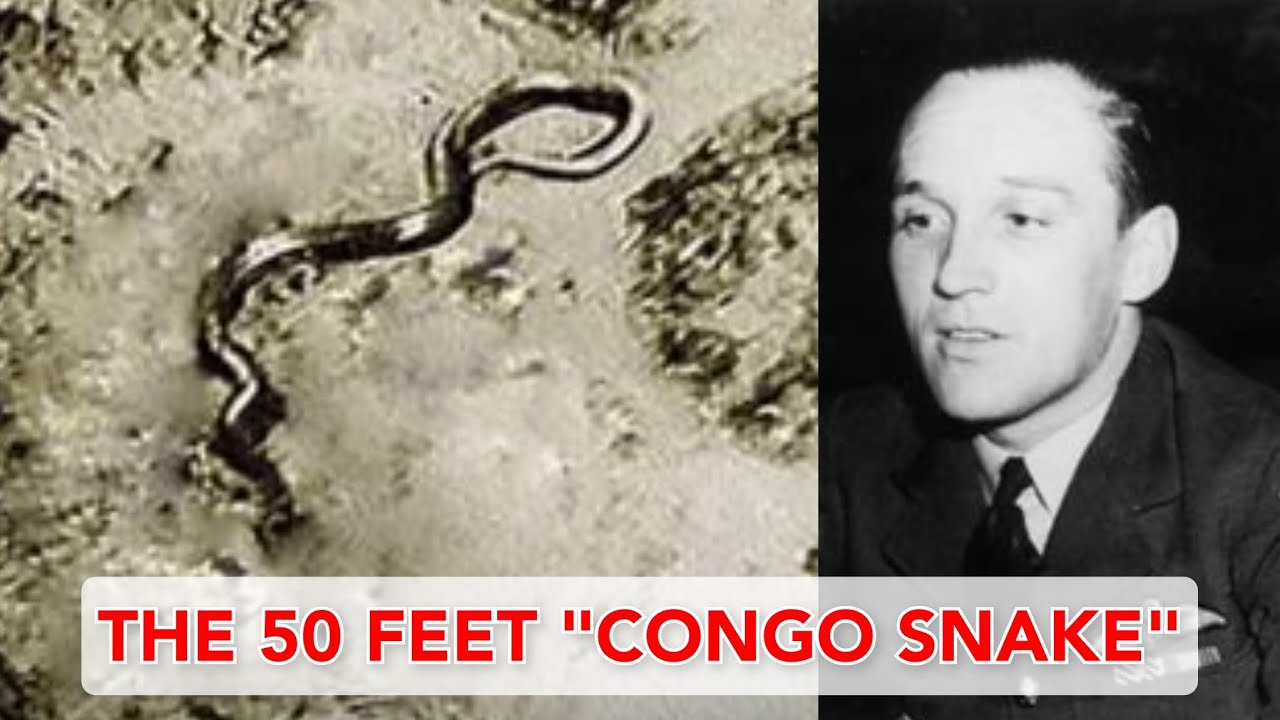 The Unsolved Mystery of Giant Snake from Congo (1959)