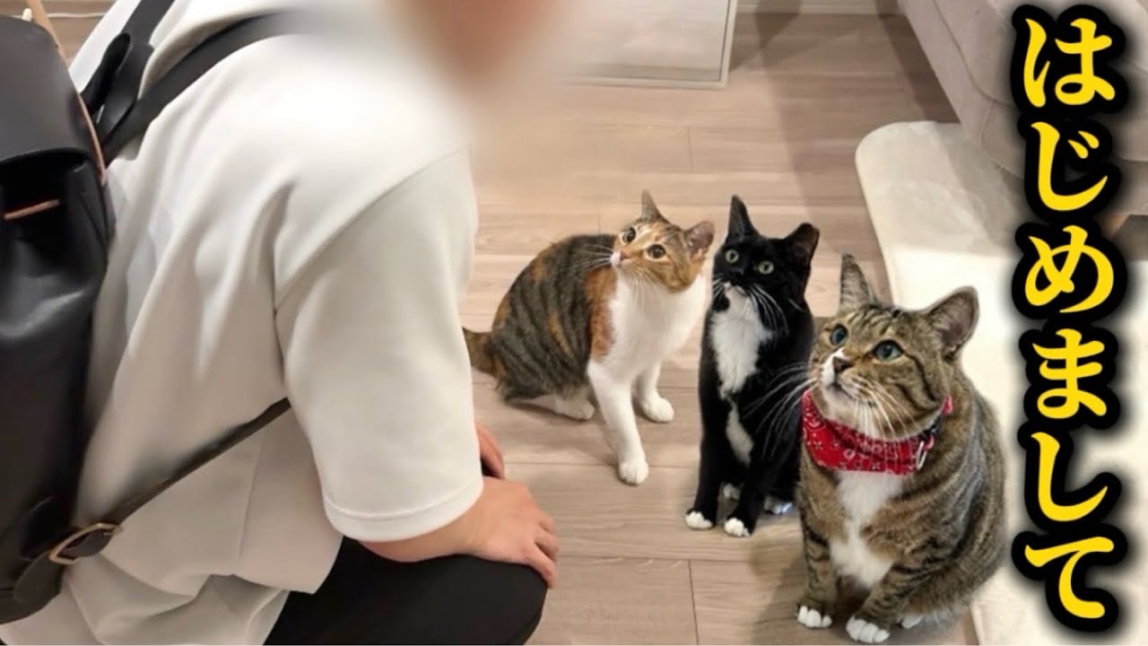 超有名YouTuberが我が家に遊びに来てくれました！