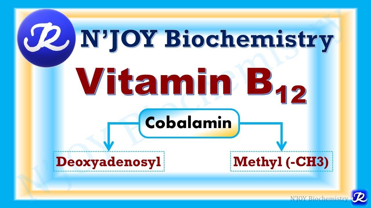14: Vitamin B12: Cobalamin |Water Soluble Vitamins| Vitamins |Biochemistry |@N'JOY Biochemistry