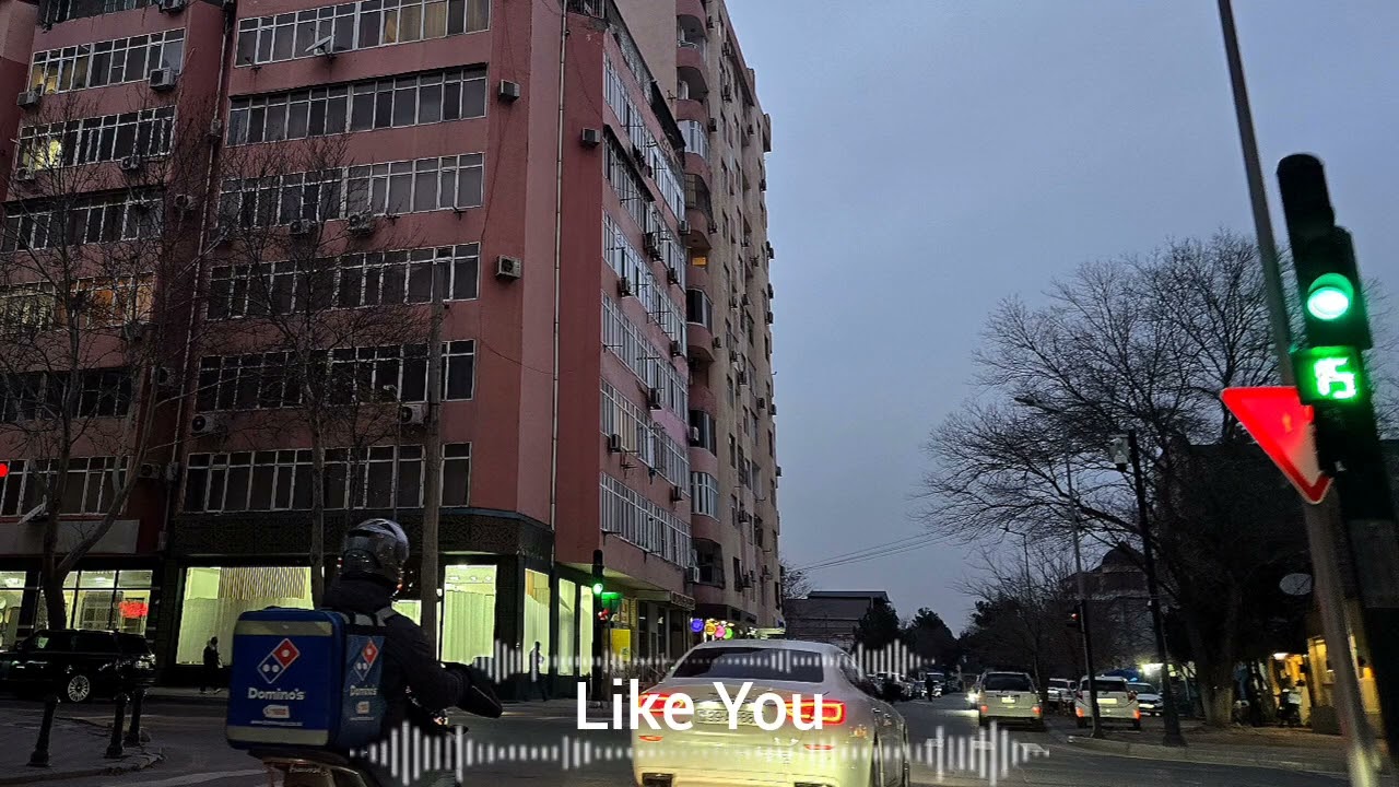 Monica - Like You
