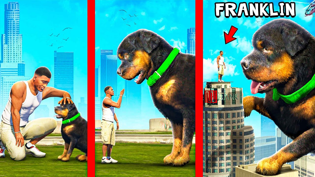 Улучшение CHOP до MEGA GIANT CHOP в GTA 5