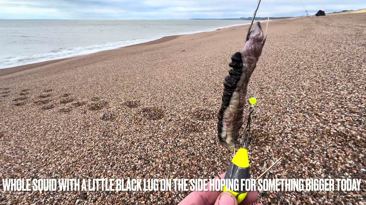 Chesil Beach Sea Fishing 2023 West Bexington 21.11.2023 4k