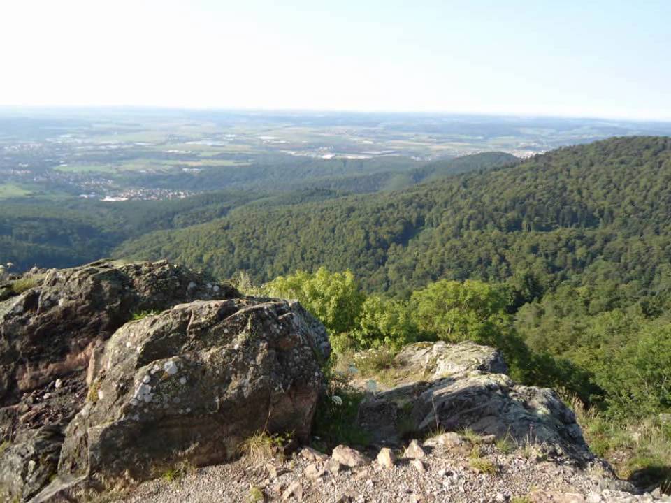 Elzas - Haut-Rhin - Wattwiller
