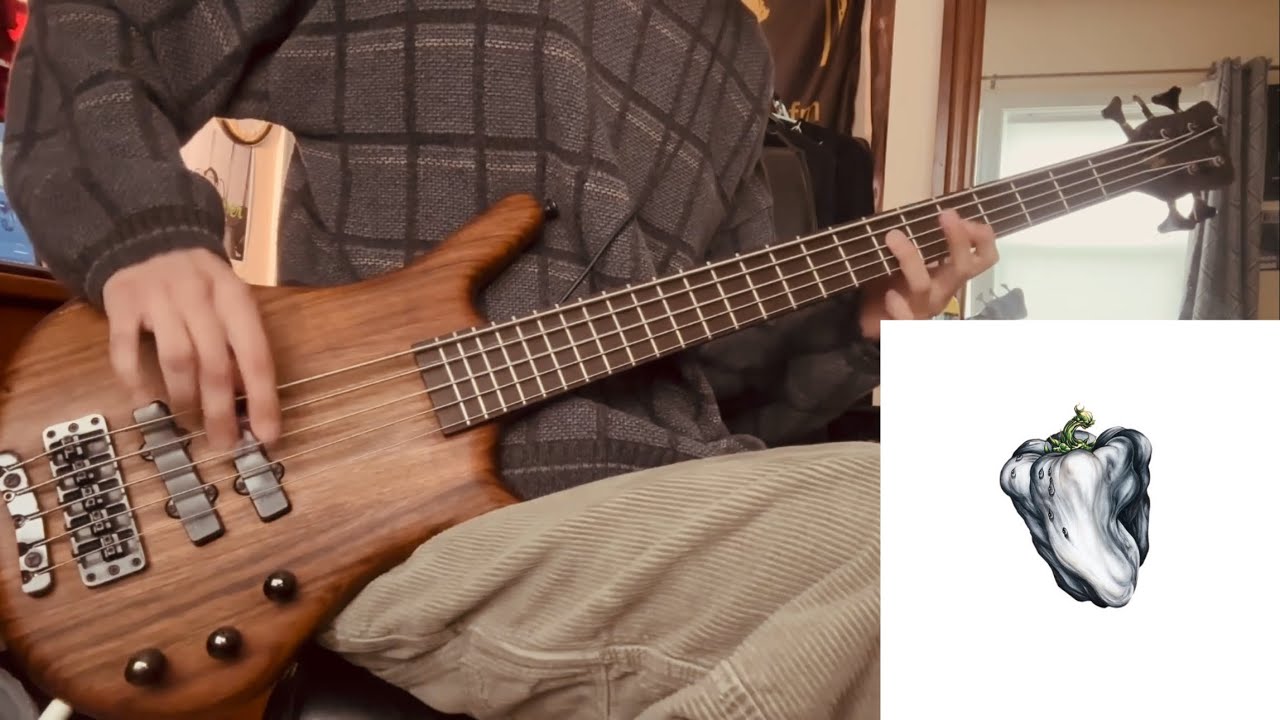 Ween - Even If You Don’t (Bass Cover)