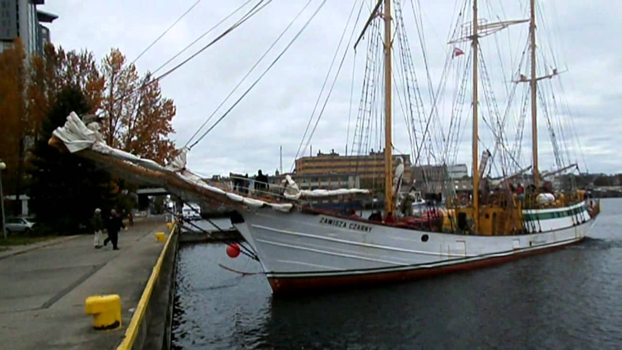 Zawisza Czarny