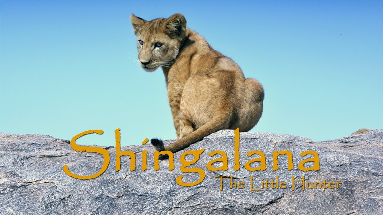 Shingalana_The Little Hunter TEASER
