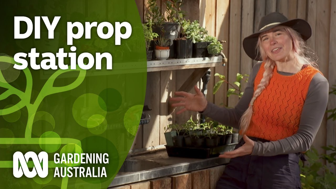 DIY Propagation Station | Gardening Hacks | Gardening Australia