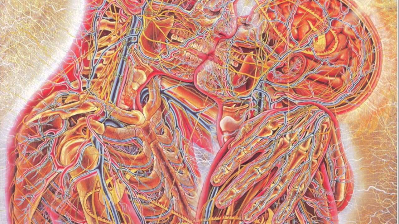 Techniques for seeing- Alex grey