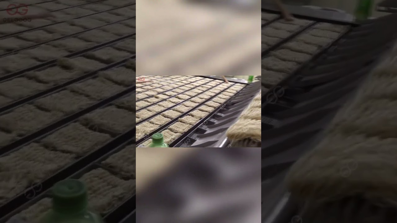 Fried Instant Noodle Production Line Introduction