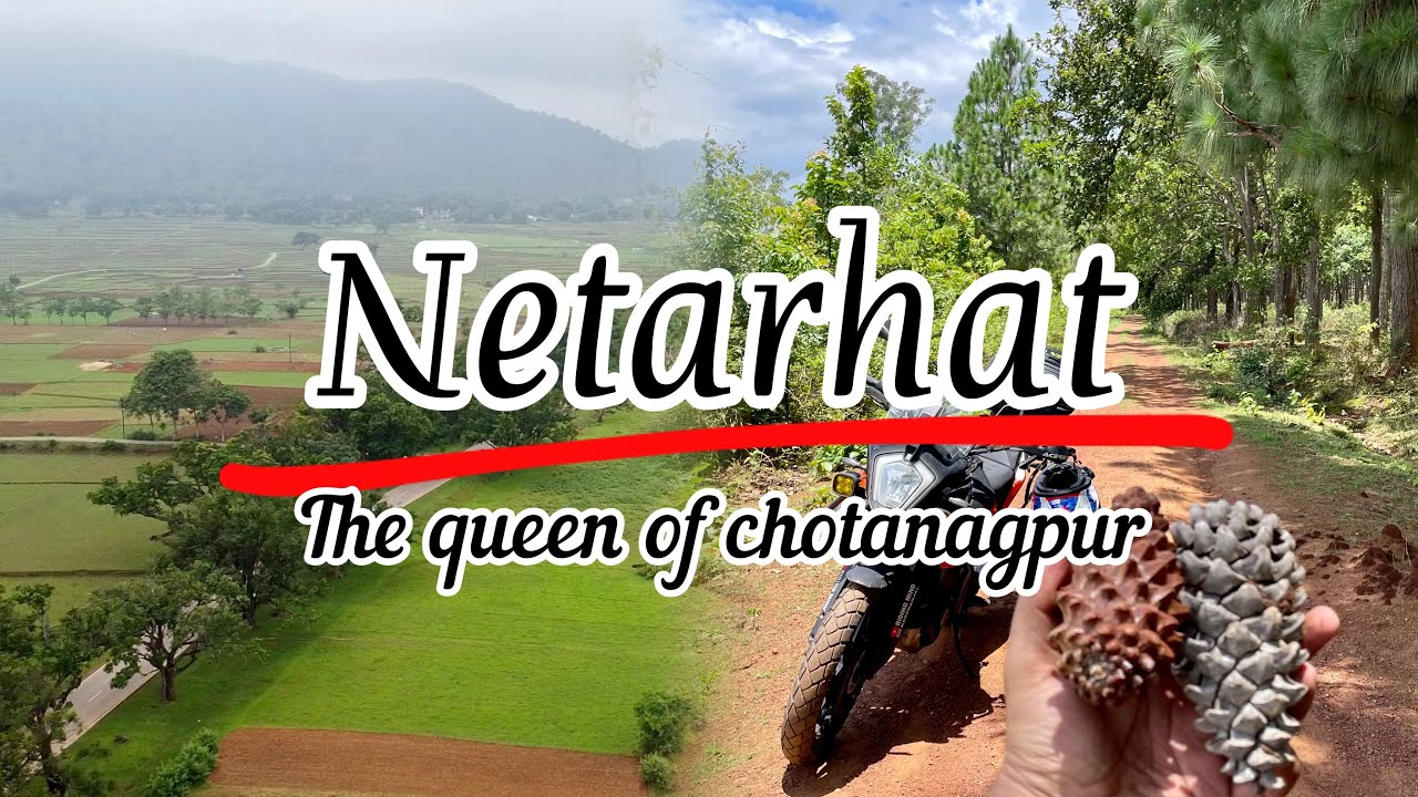 Kolkata to Netarhat Jharkhand l Where to stay & Places to visit at Netrahat #netarhat #jharkhand