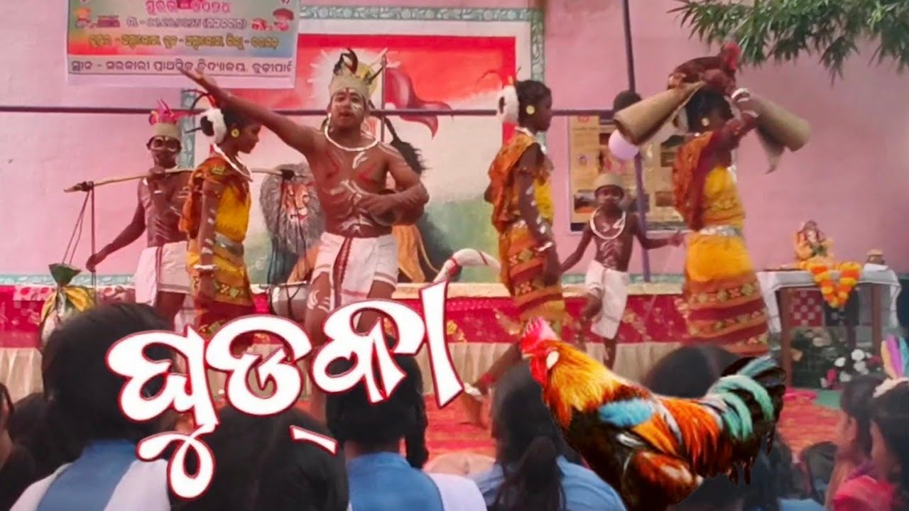 ଗୁଡୁକା ନାଚ୍ । Cluster level Suravi 2024 , Ambabhona ,Bargarh , ପ୍ରସଙ୍ଗ -ଓଡ଼ିଶା ର ଲୋକନୃତ୍ୟ