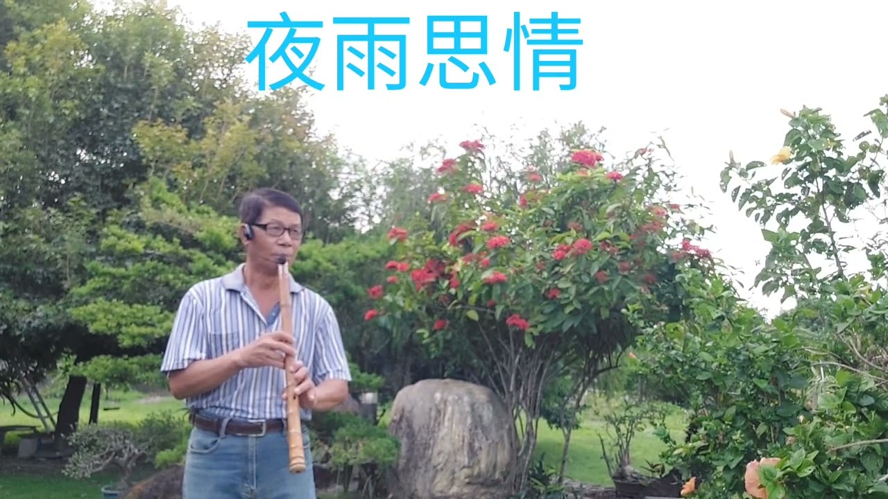 夜雨思情