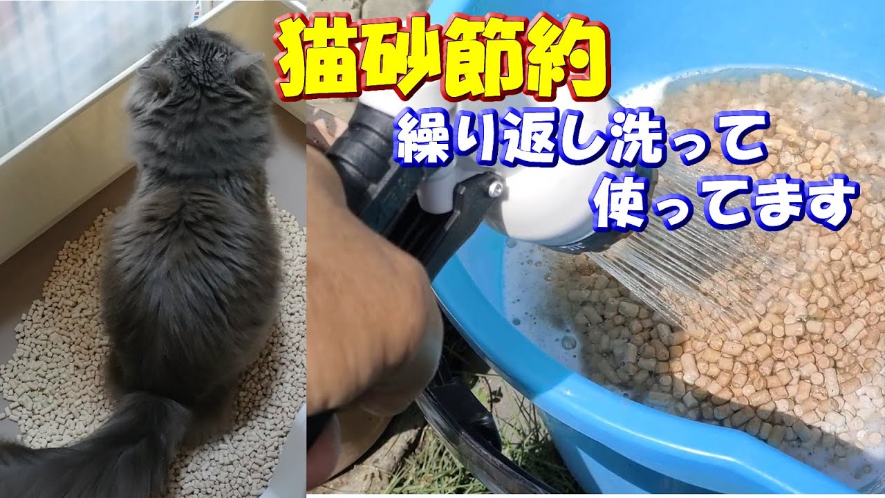 【猫砂代節約】何度も繰り返し洗って使ってますが保護猫「ニャンニャン」は必ず一番トイレに来るほど綺麗らしい～僕の猫砂洗浄方法　#猫砂 #猫トイレ #節約
