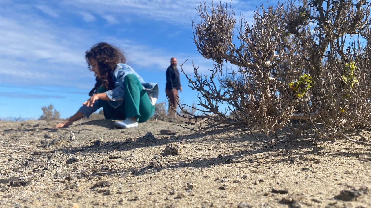 El Desierto Chileno es Precioso | From La Serena to Antofagasta | The Mailliards in Chile