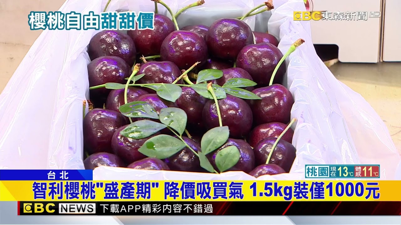 智利櫻桃「盛產」便宜約3成！ 甜甜價600g僅200元@newsebc