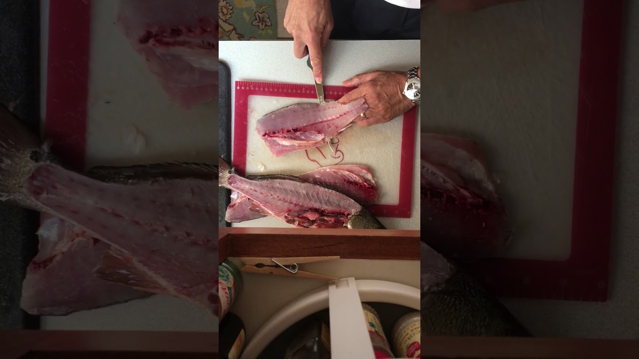 How to Clean a Puppy Drum