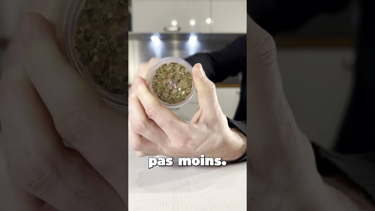 Comment pr&eacute;parer la meilleure infusion au CBD ? #infusion #relax #infusioncbd