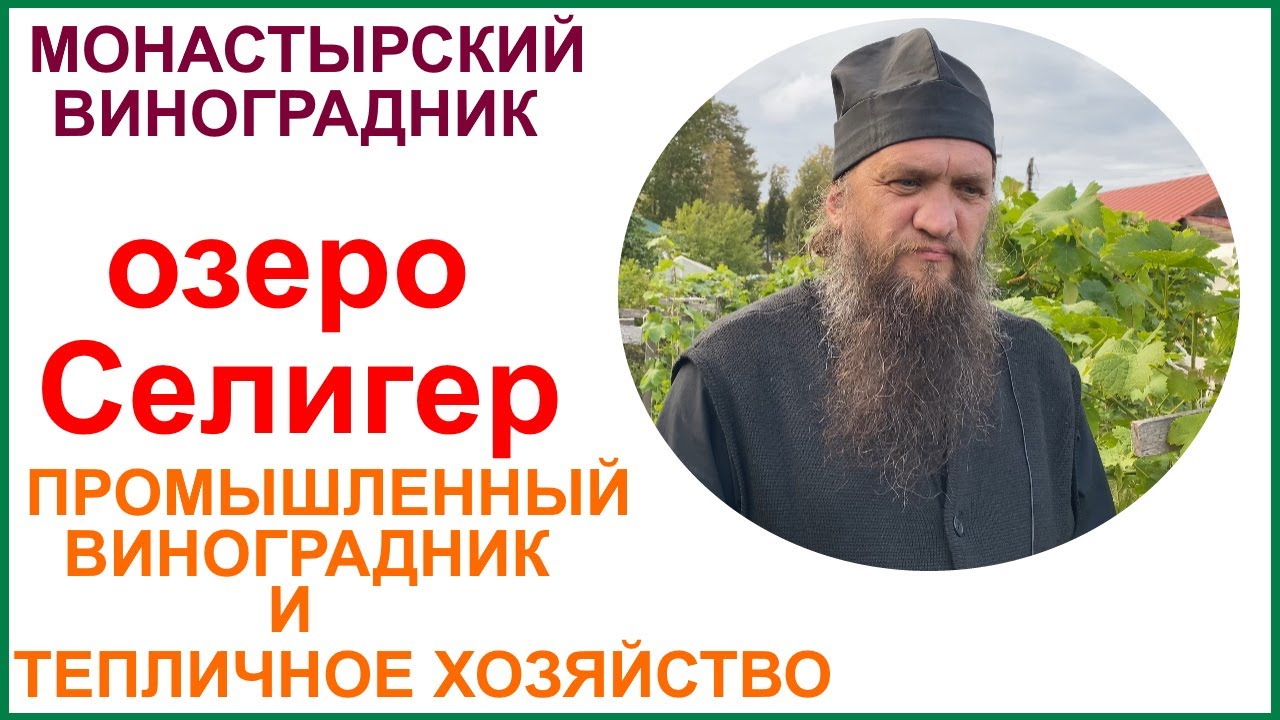 Нило-Столобенская пустынь. Промышленный виноградник и тепличное хозяйство.